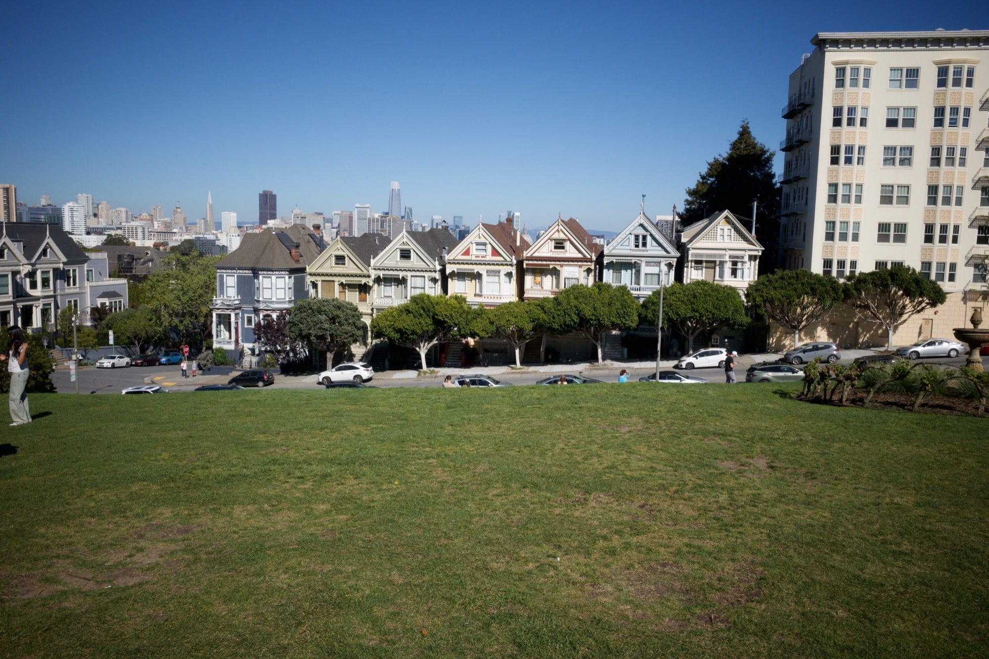 The Painted Ladies houses viewed from across the park