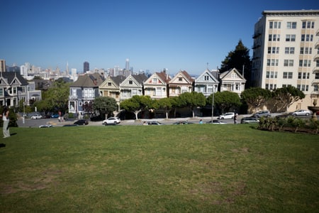The Painted Ladies houses viewed from across the park