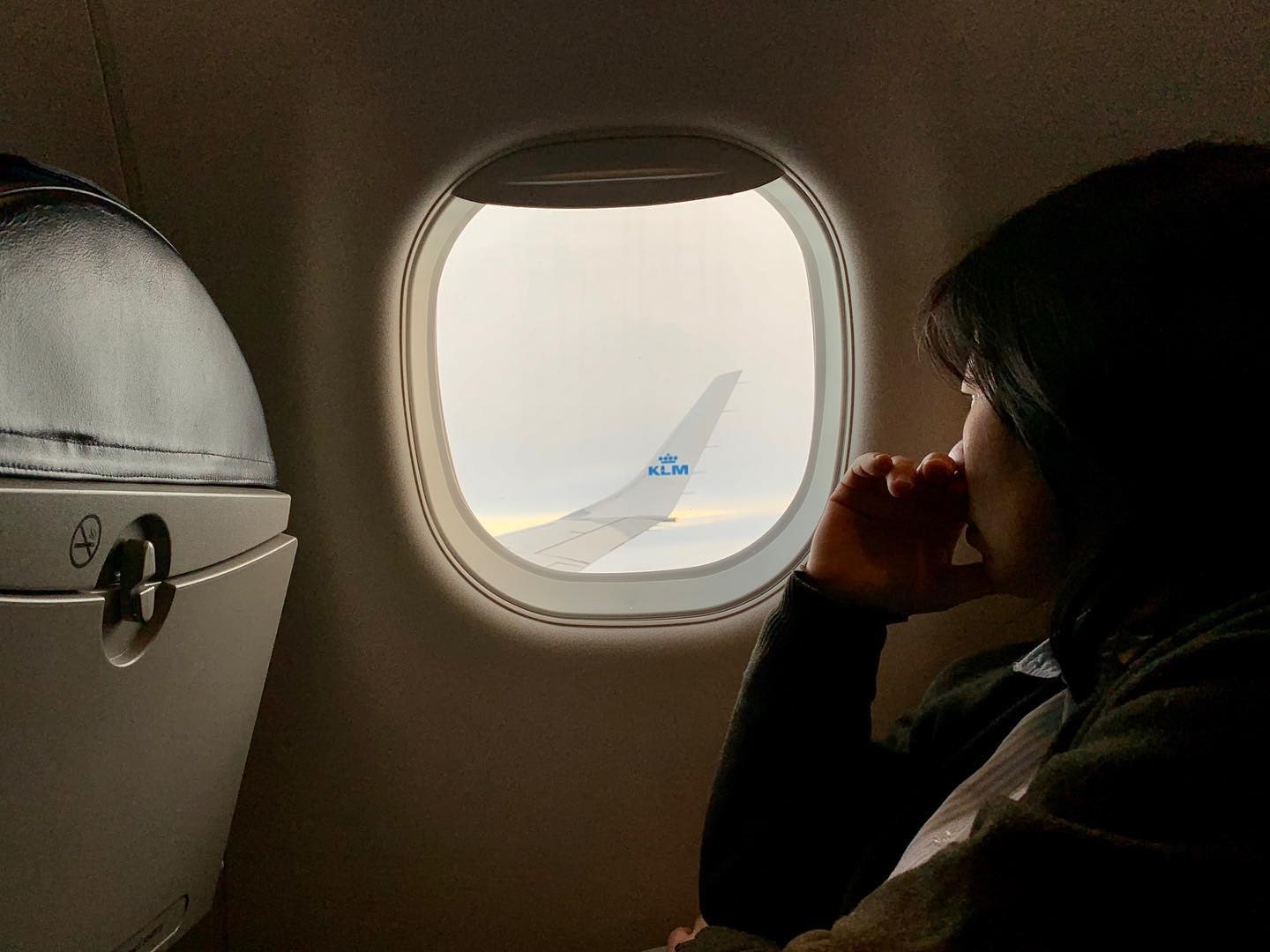 My temporary friend looking out at the wing of the plane.